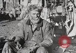 Image of USA forest scenes early 1900s United States USA, 1925, second 60 stock footage video 65675025583
