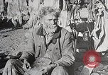Image of USA forest scenes early 1900s United States USA, 1925, second 61 stock footage video 65675025583