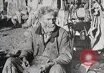 Image of USA forest scenes early 1900s United States USA, 1925, second 62 stock footage video 65675025583