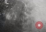 Image of Wildlife and nature and its destruction United States USA, 1925, second 8 stock footage video 65675025584