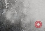 Image of Wildlife and nature and its destruction United States USA, 1925, second 10 stock footage video 65675025584