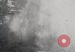 Image of Wildlife and nature and its destruction United States USA, 1925, second 11 stock footage video 65675025584
