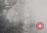 Image of Wildlife and nature and its destruction United States USA, 1925, second 12 stock footage video 65675025584