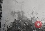 Image of Wildlife and nature and its destruction United States USA, 1925, second 13 stock footage video 65675025584