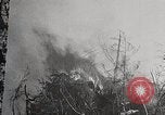 Image of Wildlife and nature and its destruction United States USA, 1925, second 14 stock footage video 65675025584