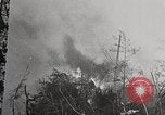Image of Wildlife and nature and its destruction United States USA, 1925, second 15 stock footage video 65675025584