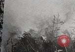Image of Wildlife and nature and its destruction United States USA, 1925, second 18 stock footage video 65675025584
