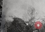 Image of Wildlife and nature and its destruction United States USA, 1925, second 20 stock footage video 65675025584