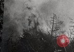 Image of Wildlife and nature and its destruction United States USA, 1925, second 23 stock footage video 65675025584