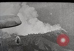 Image of Wildlife and nature and its destruction United States USA, 1925, second 27 stock footage video 65675025584