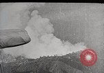 Image of Wildlife and nature and its destruction United States USA, 1925, second 28 stock footage video 65675025584