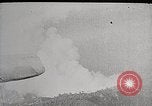 Image of Wildlife and nature and its destruction United States USA, 1925, second 29 stock footage video 65675025584