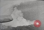 Image of Wildlife and nature and its destruction United States USA, 1925, second 30 stock footage video 65675025584