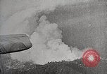 Image of Wildlife and nature and its destruction United States USA, 1925, second 32 stock footage video 65675025584