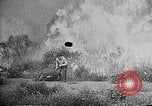 Image of Wildlife and nature and its destruction United States USA, 1925, second 34 stock footage video 65675025584