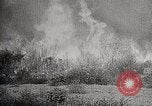 Image of Wildlife and nature and its destruction United States USA, 1925, second 39 stock footage video 65675025584