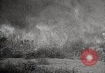 Image of Wildlife and nature and its destruction United States USA, 1925, second 41 stock footage video 65675025584