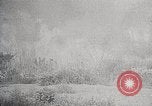 Image of Wildlife and nature and its destruction United States USA, 1925, second 42 stock footage video 65675025584