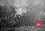 Image of Wildlife and nature and its destruction United States USA, 1925, second 43 stock footage video 65675025584