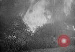 Image of Wildlife and nature and its destruction United States USA, 1925, second 44 stock footage video 65675025584