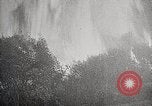 Image of Wildlife and nature and its destruction United States USA, 1925, second 45 stock footage video 65675025584