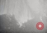 Image of Wildlife and nature and its destruction United States USA, 1925, second 46 stock footage video 65675025584