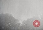 Image of Wildlife and nature and its destruction United States USA, 1925, second 47 stock footage video 65675025584