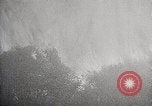 Image of Wildlife and nature and its destruction United States USA, 1925, second 48 stock footage video 65675025584