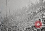 Image of Wildlife and nature and its destruction United States USA, 1925, second 49 stock footage video 65675025584