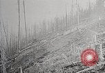 Image of Wildlife and nature and its destruction United States USA, 1925, second 50 stock footage video 65675025584