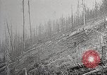 Image of Wildlife and nature and its destruction United States USA, 1925, second 51 stock footage video 65675025584