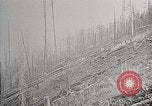 Image of Wildlife and nature and its destruction United States USA, 1925, second 53 stock footage video 65675025584