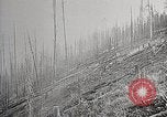 Image of Wildlife and nature and its destruction United States USA, 1925, second 54 stock footage video 65675025584