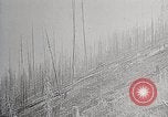 Image of Wildlife and nature and its destruction United States USA, 1925, second 57 stock footage video 65675025584