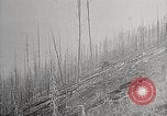 Image of Wildlife and nature and its destruction United States USA, 1925, second 58 stock footage video 65675025584