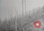 Image of Wildlife and nature and its destruction United States USA, 1925, second 59 stock footage video 65675025584