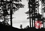 Image of Wildlife and nature and its destruction United States USA, 1925, second 10 stock footage video 65675025585