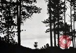 Image of Wildlife and nature and its destruction United States USA, 1925, second 11 stock footage video 65675025585