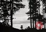 Image of Wildlife and nature and its destruction United States USA, 1925, second 12 stock footage video 65675025585