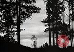 Image of Wildlife and nature and its destruction United States USA, 1925, second 13 stock footage video 65675025585