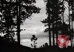 Image of Wildlife and nature and its destruction United States USA, 1925, second 14 stock footage video 65675025585