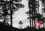 Image of Wildlife and nature and its destruction United States USA, 1925, second 15 stock footage video 65675025585