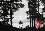 Image of Wildlife and nature and its destruction United States USA, 1925, second 17 stock footage video 65675025585