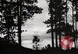 Image of Wildlife and nature and its destruction United States USA, 1925, second 18 stock footage video 65675025585