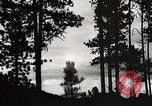 Image of Wildlife and nature and its destruction United States USA, 1925, second 19 stock footage video 65675025585