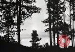 Image of Wildlife and nature and its destruction United States USA, 1925, second 20 stock footage video 65675025585