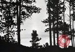 Image of Wildlife and nature and its destruction United States USA, 1925, second 21 stock footage video 65675025585