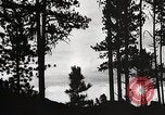 Image of Wildlife and nature and its destruction United States USA, 1925, second 22 stock footage video 65675025585