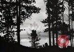 Image of Wildlife and nature and its destruction United States USA, 1925, second 23 stock footage video 65675025585