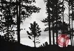 Image of Wildlife and nature and its destruction United States USA, 1925, second 25 stock footage video 65675025585